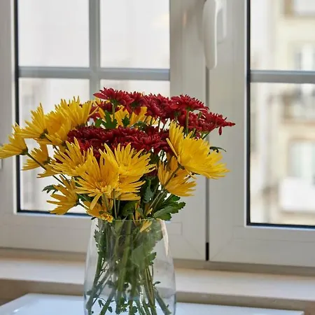 Guarda-mor Appartement