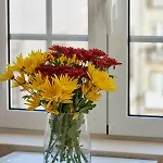 Guarda-mor Apartamento